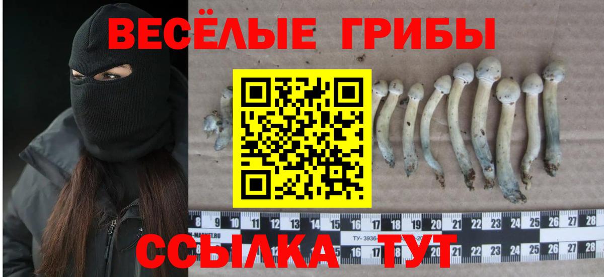 Псилоцибиновые грибы прущие грибы  Вход с VPN  Галлюциногенные грибы Cubensis  Воткинск 